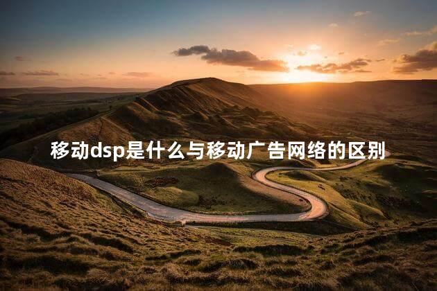 移动dsp是什么与移动广告网络的区别 dsp广告公司都有哪些